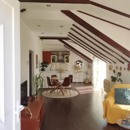 Attic Iris Apartament