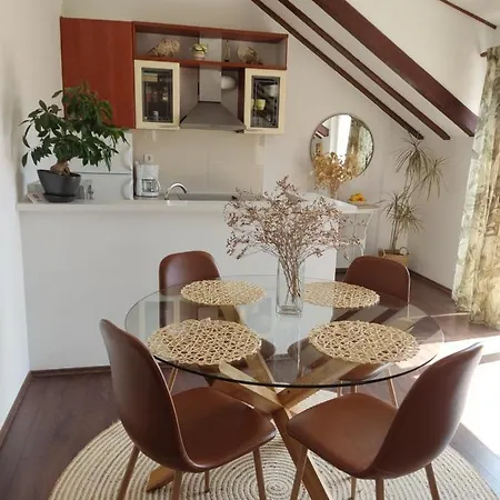 Attic Iris Appartement *