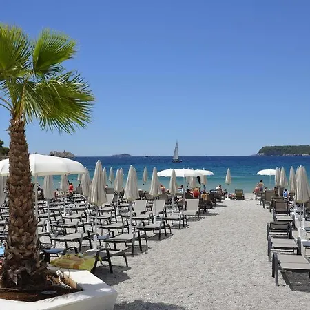 Attic Iris * دوبروفينك