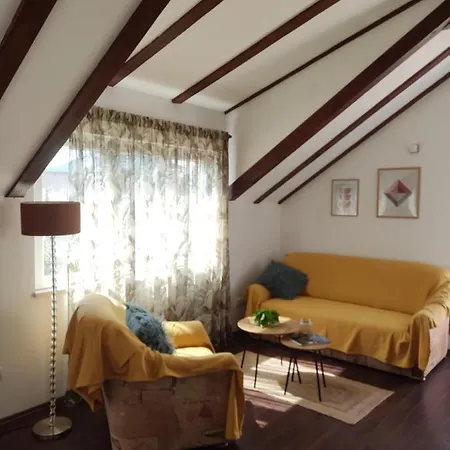 Attic Iris Lejlighed *