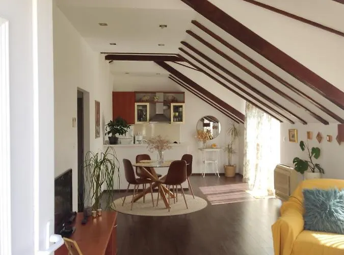 Attic Iris アパート